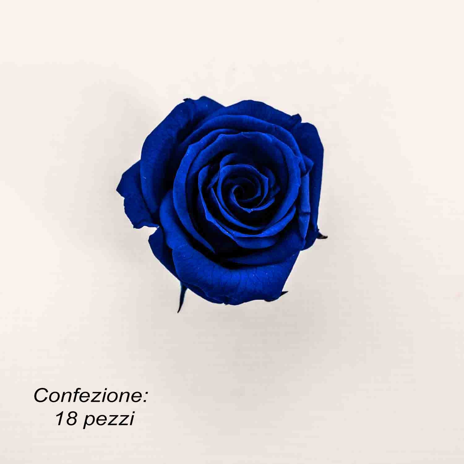 Rosa Stabilizzata in vari colori - Confezione 18 pezzi - Blu