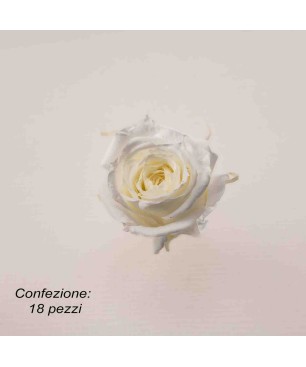 Rose Stabilizzate in vari colori - Confezione 18 pezzi - Bianco