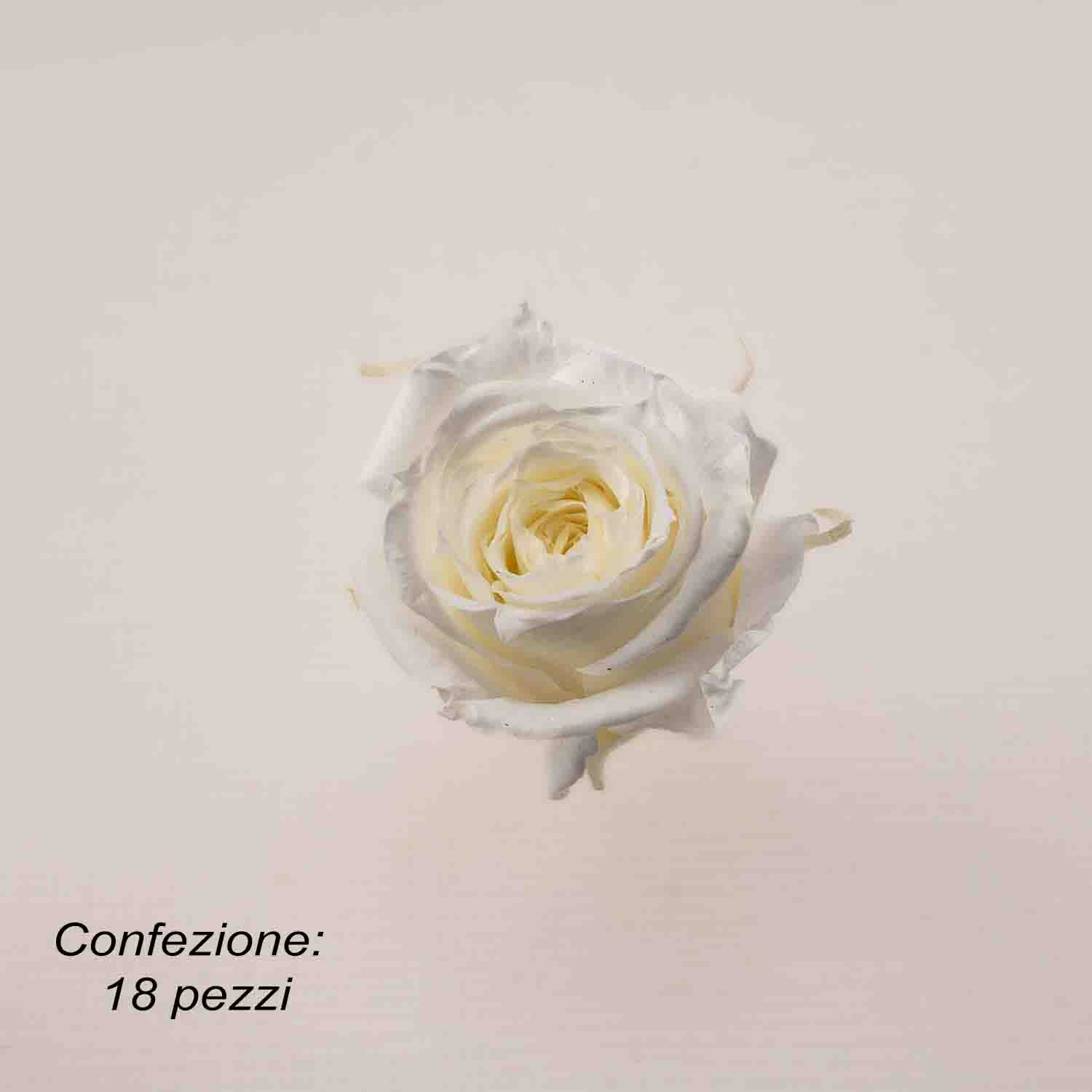 Rose Stabilizzate in vari colori - Confezione 18 pezzi - Bianco