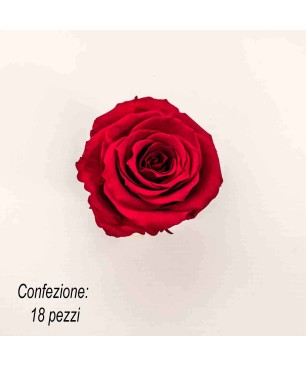 Rose Stabilizzate in vari colori - Confezione 18 pezzi - Cardinale