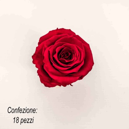 Rose Stabilizzate in vari colori - Confezione 18 pezzi - Cardinale