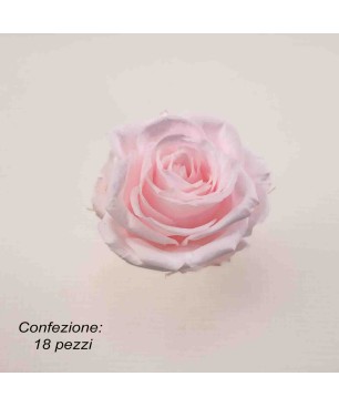 Rose Stabilizzate in vari colori - Confezione 18 pezzi - Rosa chiaro