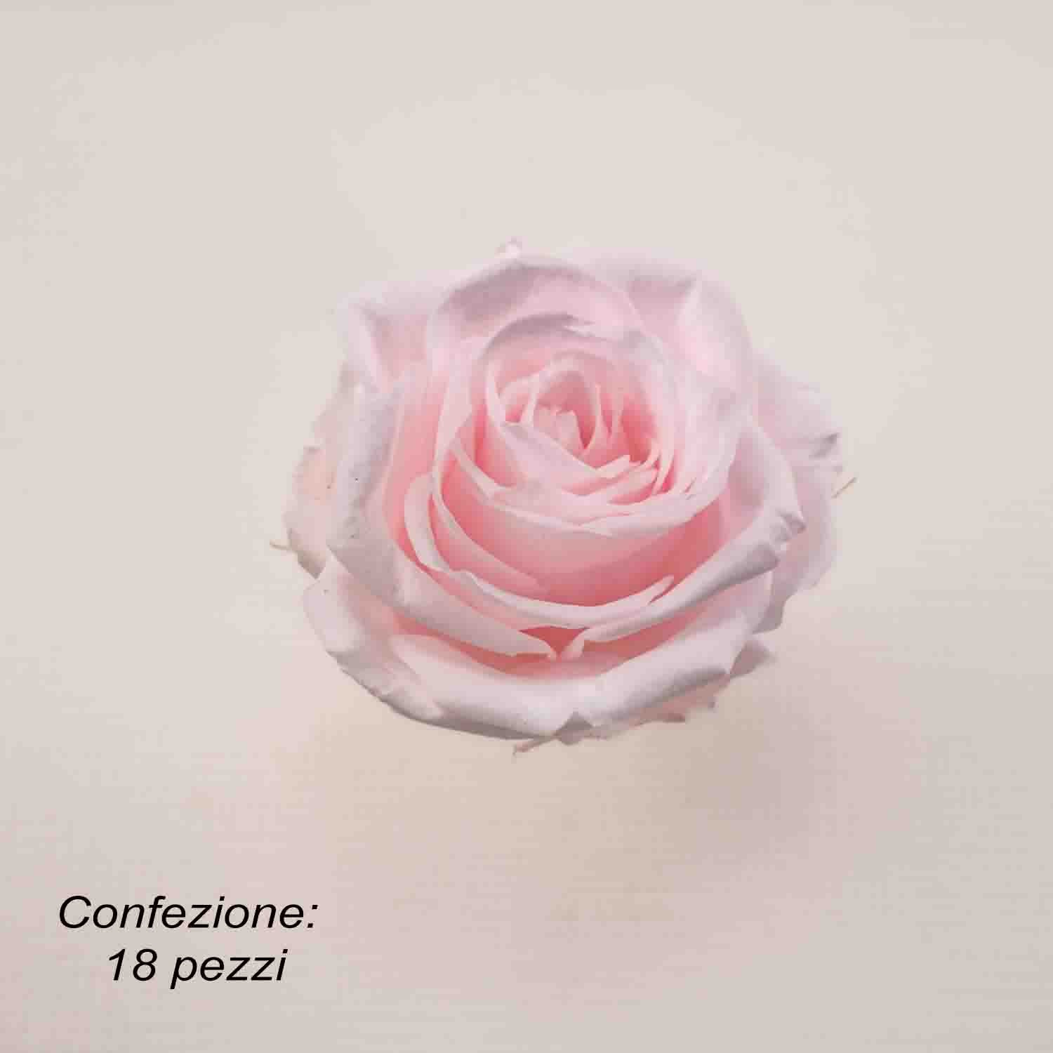 Rose Stabilizzate in vari colori - Confezione 18 pezzi - Rosa chiaro