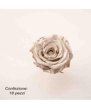 Rose Stabilizzate in vari colori - Confezione 18 pezzi - Bianco latte