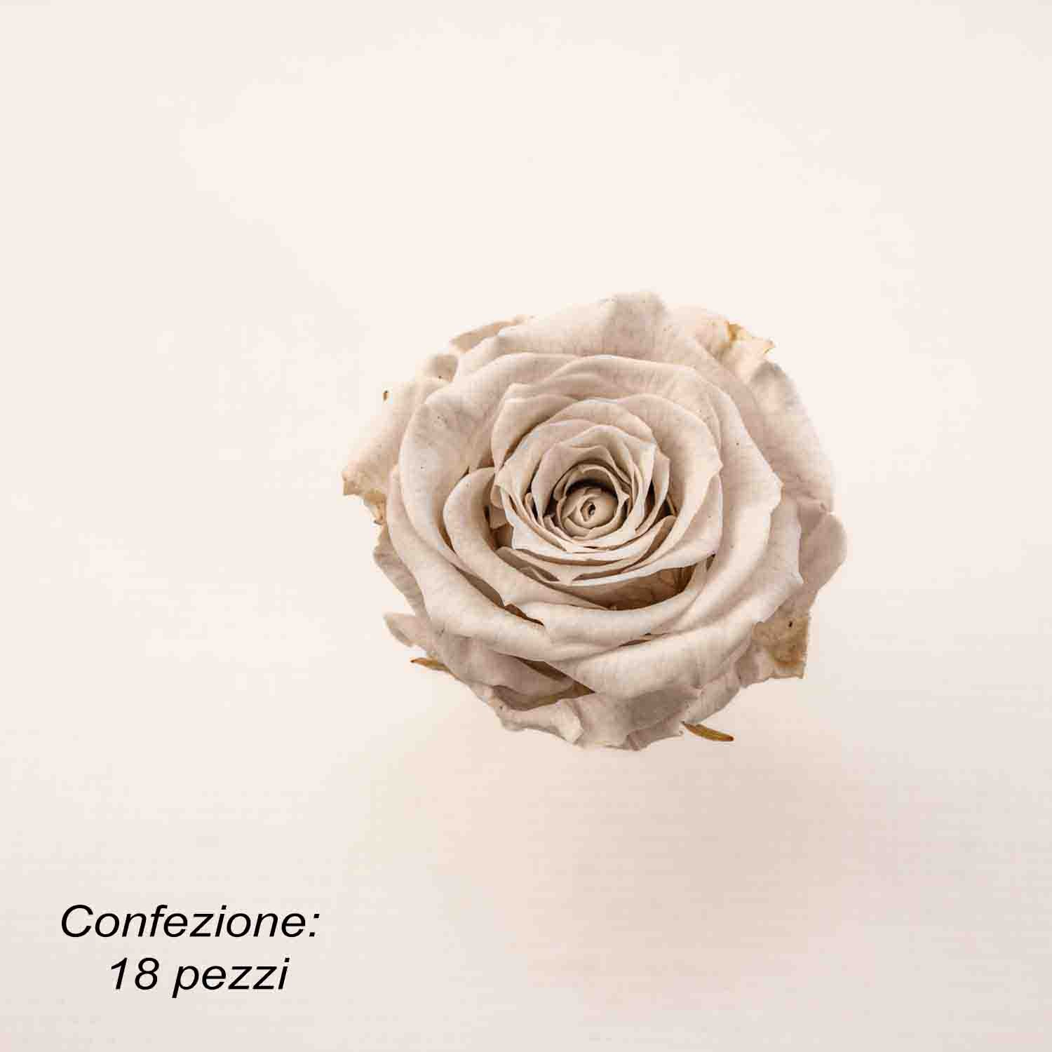 Rose Stabilizzate in vari colori - Confezione 18 pezzi - Bianco latte