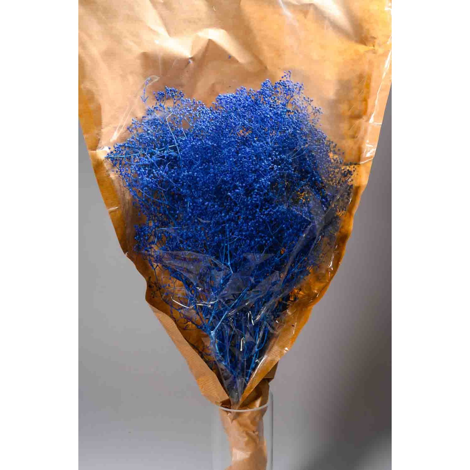 Gipsophila essiccata  50 G - Blu