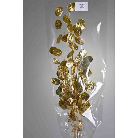 Lunaria essiccata in ramo 50 G - Oro