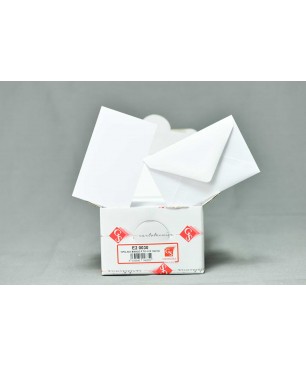 Bigliettini bianchi 7x11 CM e buste - Confezione 100 pezzi