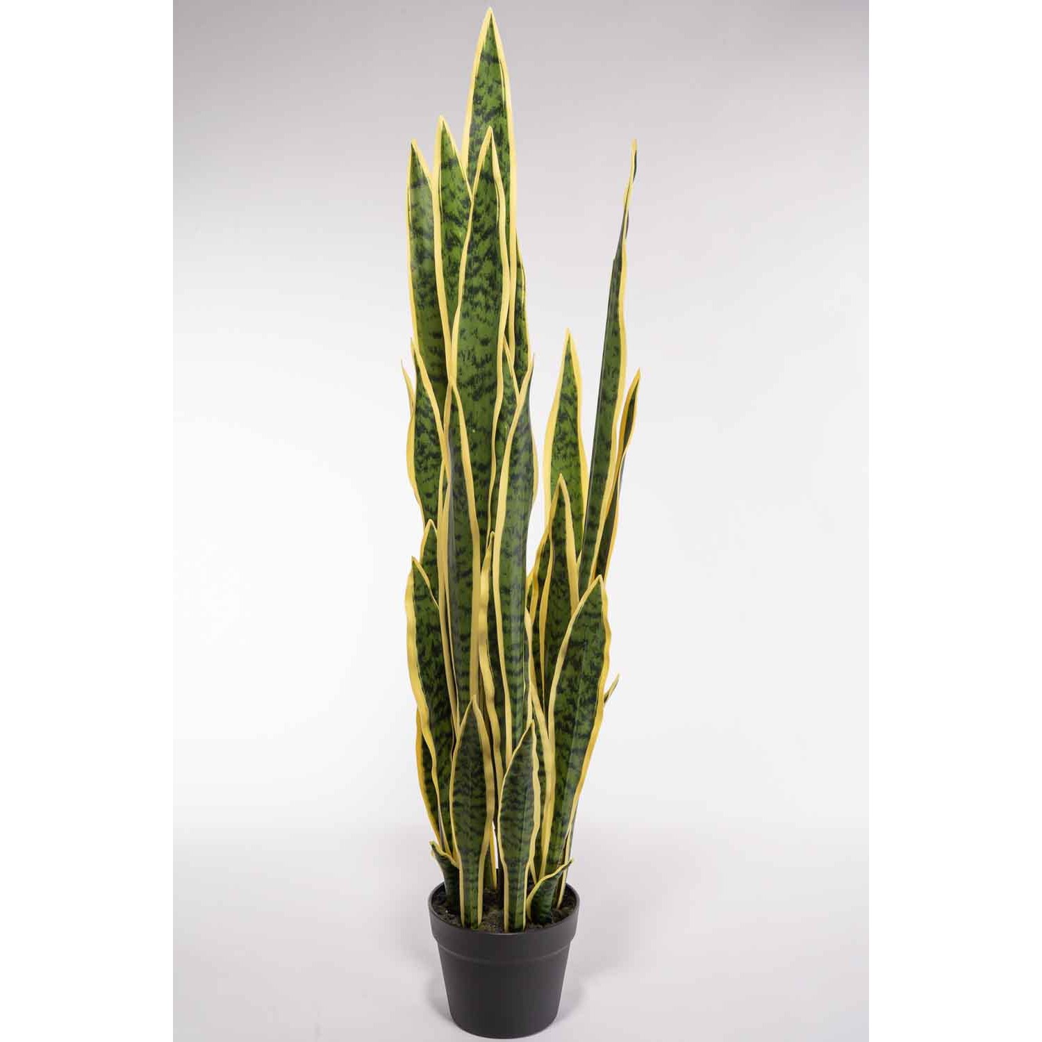 Sanseveria artificiale in vaso - 100 Cm