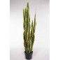 Sanseveria artificiale in vaso - 100 Cm