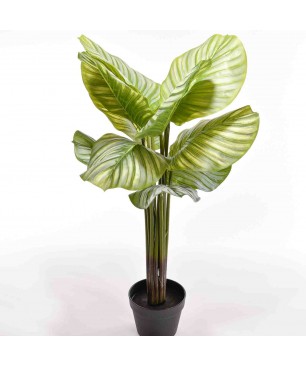 Calathea Horbifoglia artificiale in vaso - 90 Cm