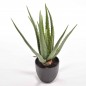 Aloe artificiale in vaso - 55 Cm