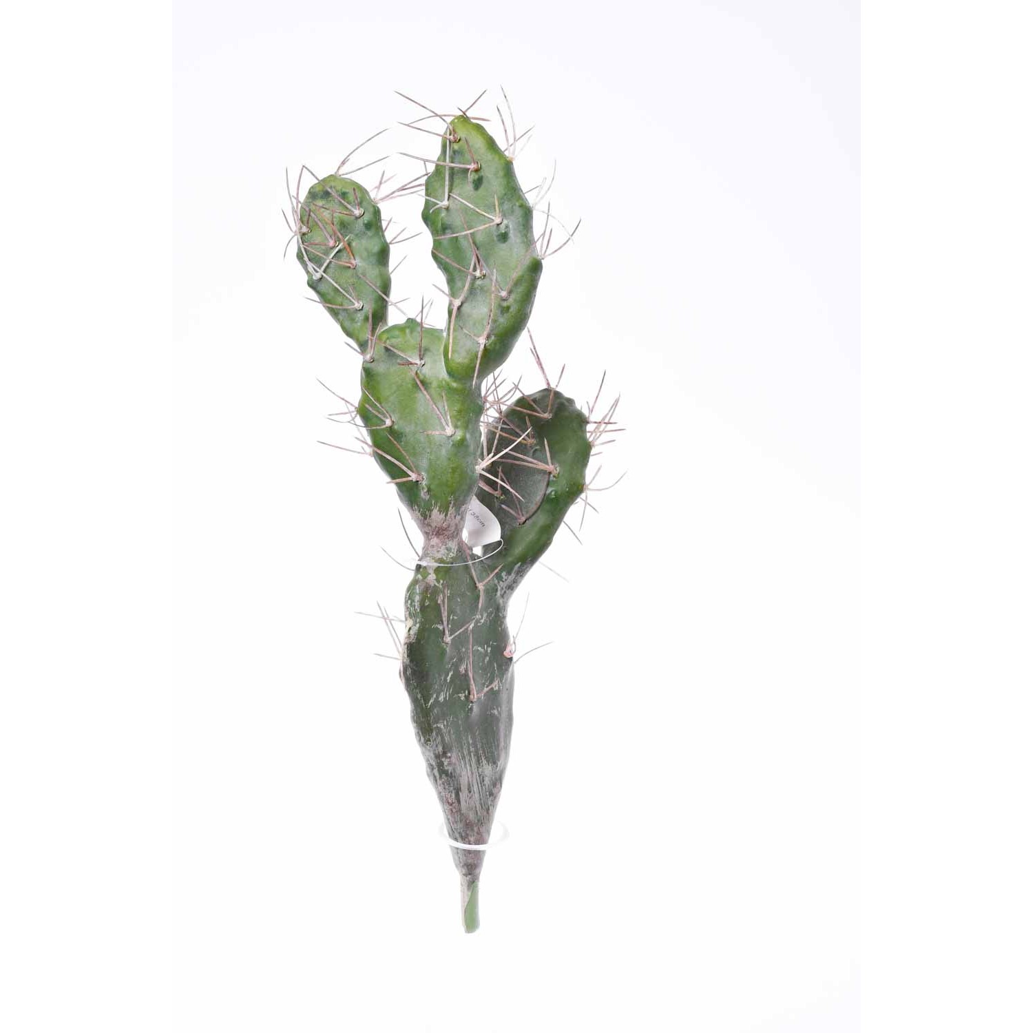 Cactus artificiale verde in pick - 38 Cm