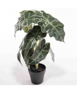 Alocasia artificiale in vaso - 50 Cm