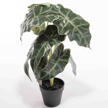 Alocasia artificiale in vaso - 50 Cm