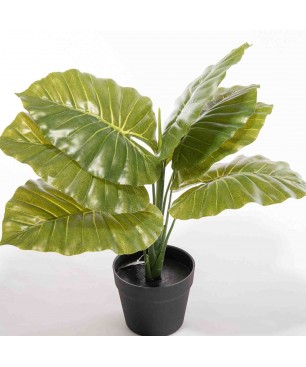 Syngonium artificiale in vaso - 60 Cm