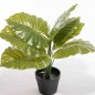 Syngonium artificiale in vaso - 60 Cm