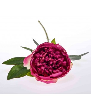 Stelo di Peonia fucsia 50 CM