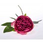 Stelo di Peonia fucsia 50 CM