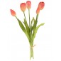 Tulipani "Real touch" - Crema/rosa