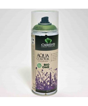 Spray "Acqua Color" 400 Ml - Verde muschio