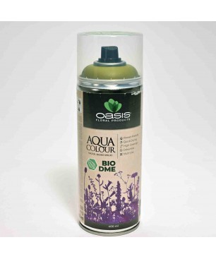 Spray "Acqua Color" 400 Ml - Verde muschio chiaro