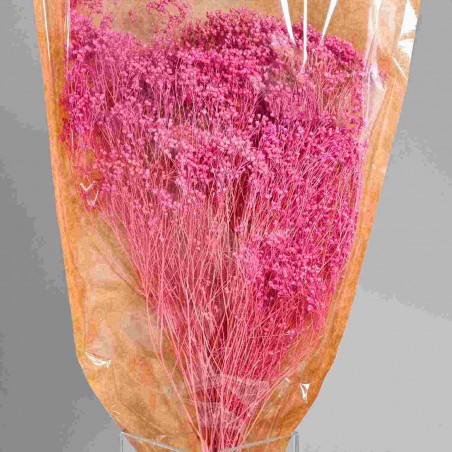 Broom Bloom essiccato 100 G - Rosa