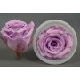 Rose Stabilizzate in vari colori - Confezione 12 pezzi - Lilla S VIO 03