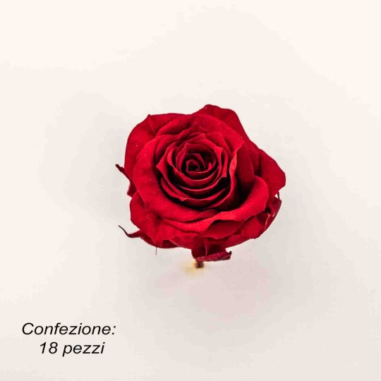 Rose Stabilizzate in vari colori - Confezione 18 pezzi - Rosso XS RED 01