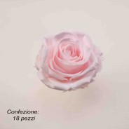 Rose Stabilizzate in vari colori - Confezione 18 pezzi - Rosa chiaro XS PIN 89