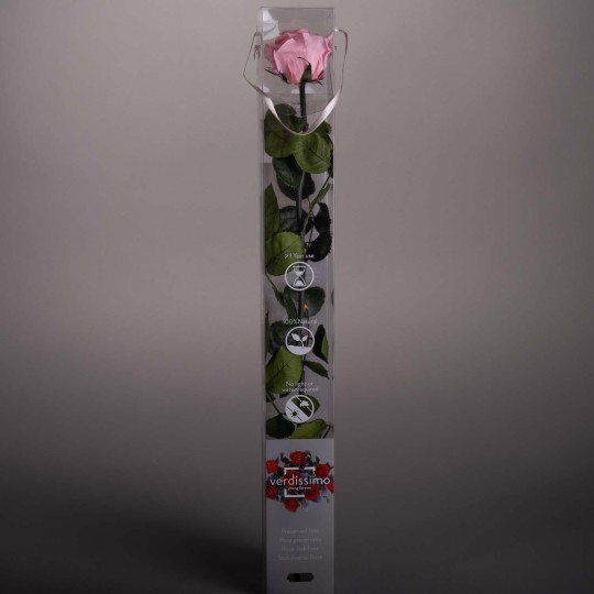 Rosa stabilizzata con stelo - 55 CM - Rosa pastello