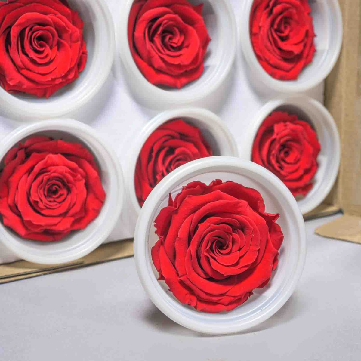 Rose Stabilizzate in vari colori - Confezione 12 pezzi - Rosso S RED 01