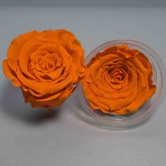 Rose Stabilizzate in vari colori - Confezione 6 pezzi - Arancione chiaro XL ORA 02