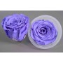 Rose Stabilizzate in vari colori - Confezione 6 pezzi - Viola XL VIO 01