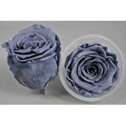 Rose Stabilizzate in vari colori - Confezione 6 pezzi - Blu Avio Chiaro XL GRY 01