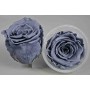 Rose Stabilizzate in vari colori - Confezione 6 pezzi - Blu Avio Chiaro XL GRY 01