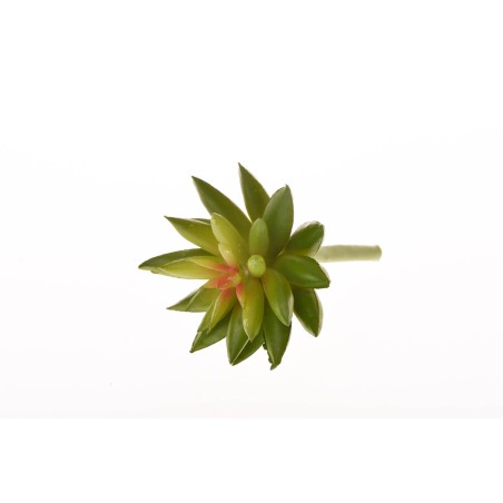 Succulenta artificiale verde in pick - 10 Cm