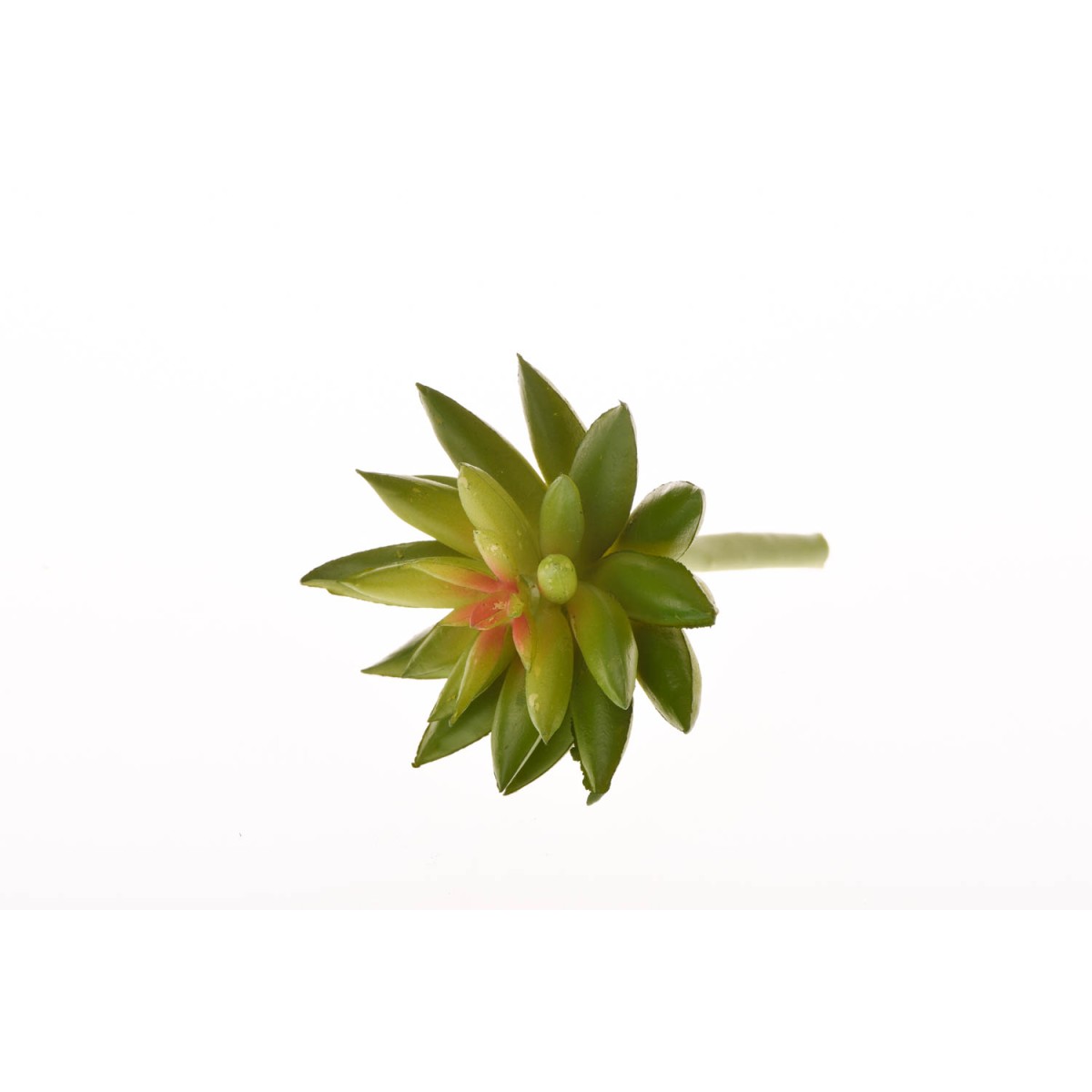 Succulenta artificiale verde in pick - 10 Cm