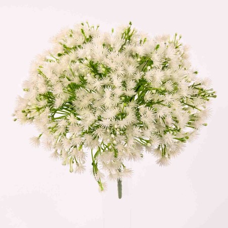 Mazzo di gypsophila bianca