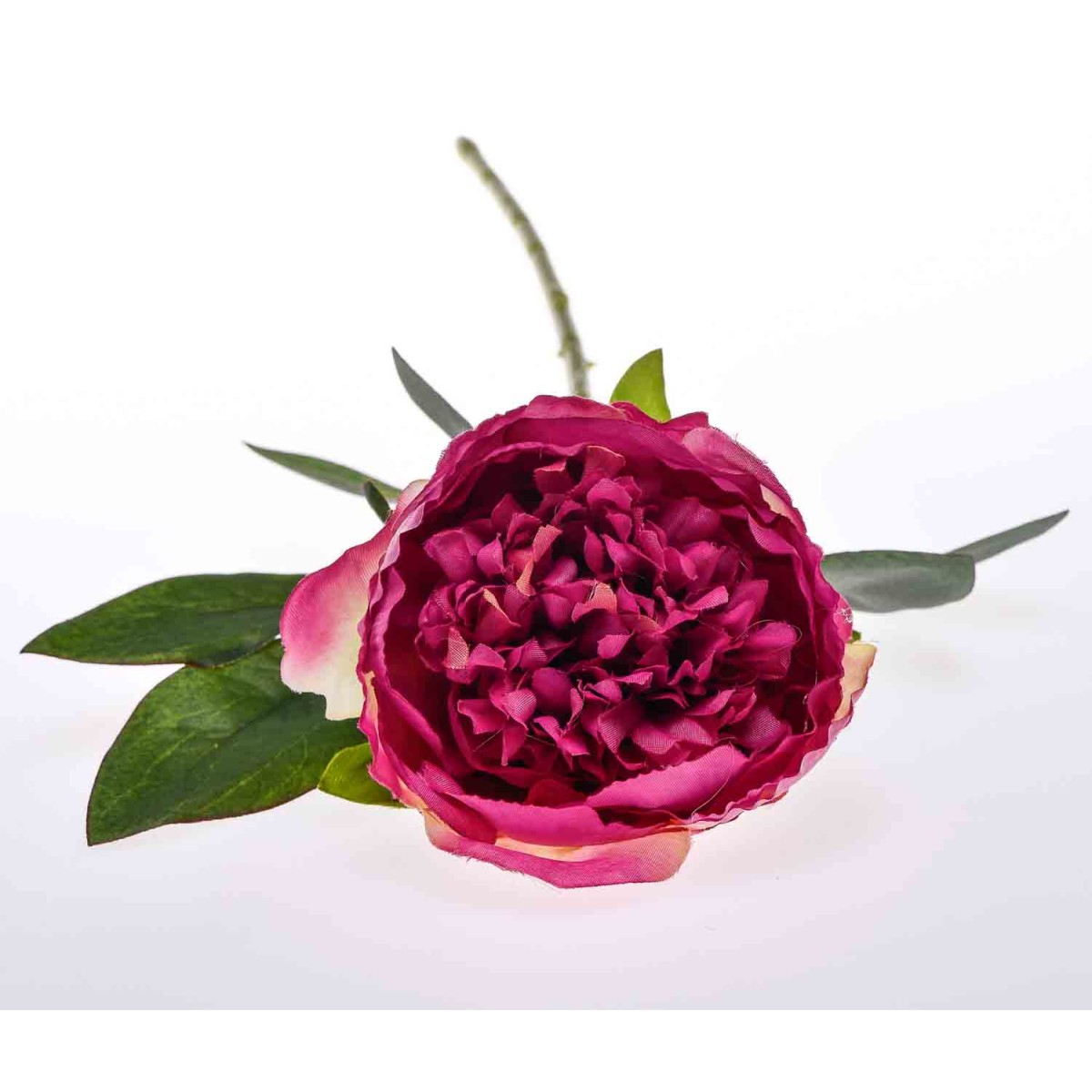 Stelo di Peonia fucsia 50 CM