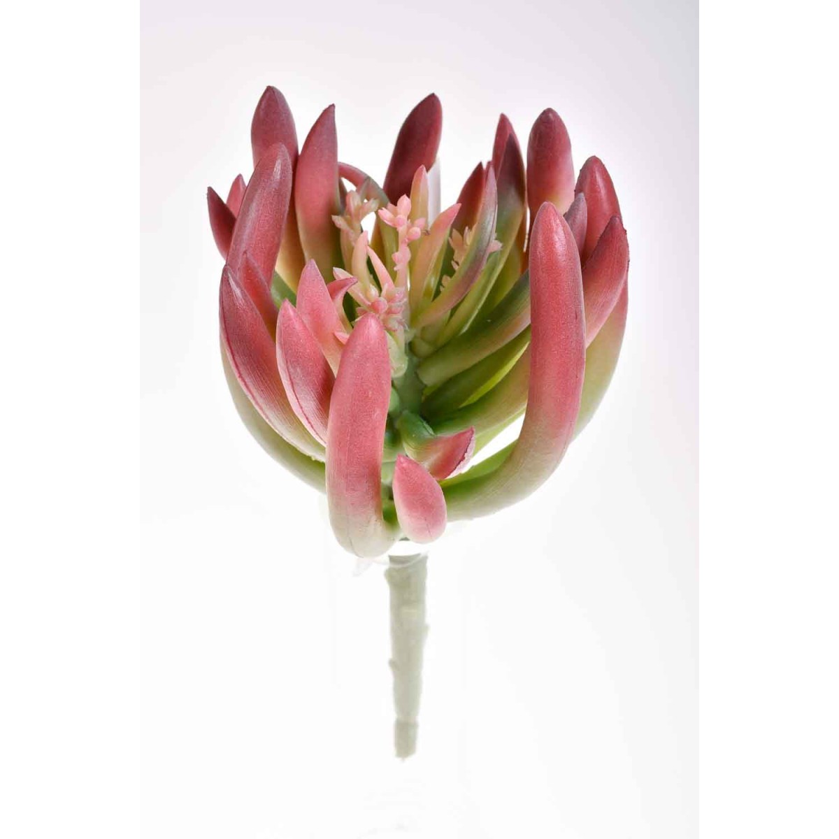 Succulenta artificiale rossa/verde con foglie arrotondate in pick - 18 Cm