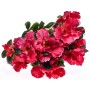 Mazzo decorativo Azalea fucsia