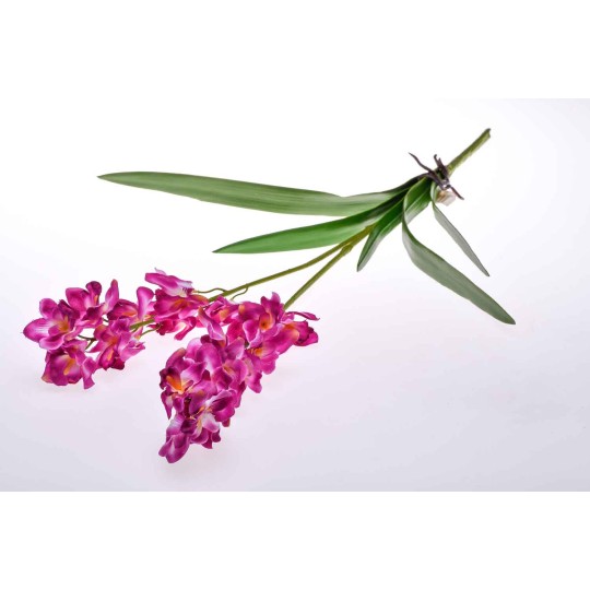 Stelo ramificato di Orchidea dendrobium fucsia