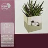 Borsina "Mood" 12x12x12,5 CM - 10 Pezzi  Talpa