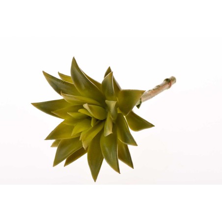 Succulenta artificiale verde a foglia allungata in pick - 20 Cm