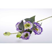 Stelo 5 rami di Lisianthus - Vari Colori - Viola screziato