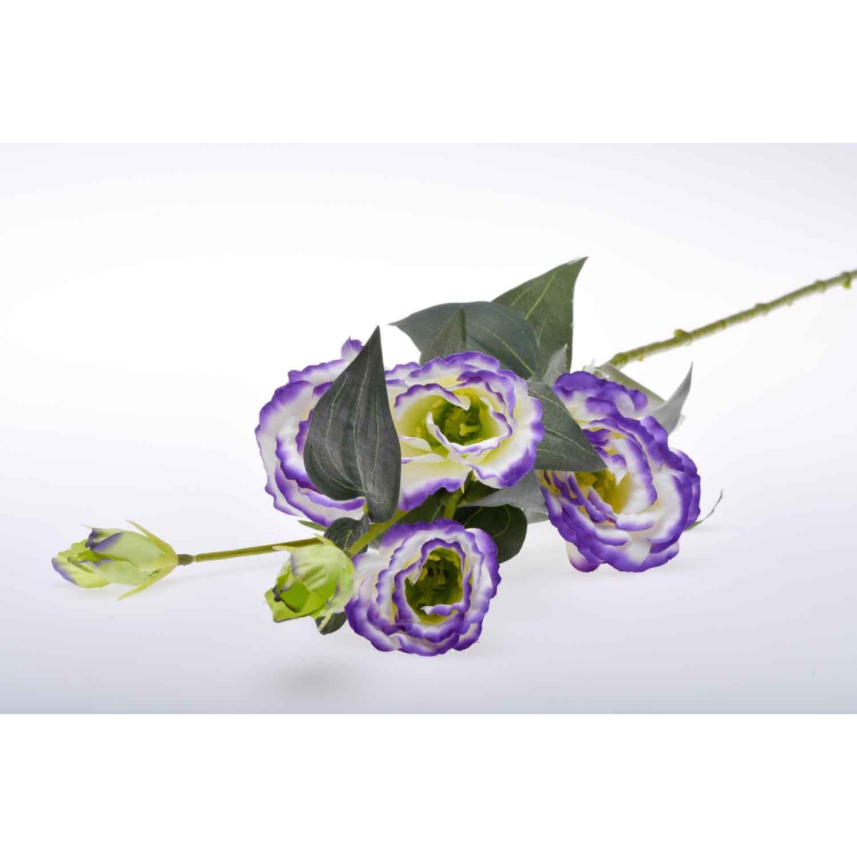 Stelo 5 rami di Lisianthus - Vari Colori - Viola screziato