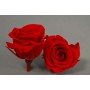 Rose Stabilizzate "Mini Capullo" - 12 Pezzi