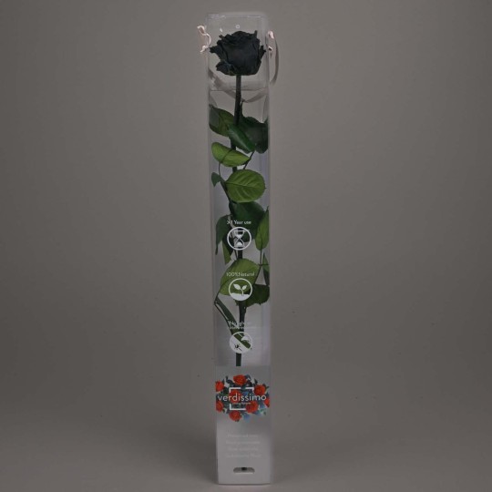 Rosa stabilizzata con stelo - 55 CM - Nero