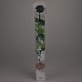 Rosa stabilizzata con stelo - 55 CM - Nero